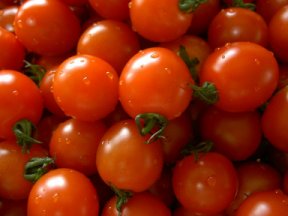 Small_tomatoes